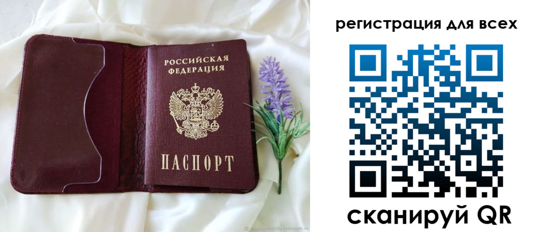 прописка 2025 в Димитровграде